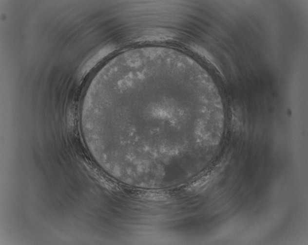 X0000067850874200604271642