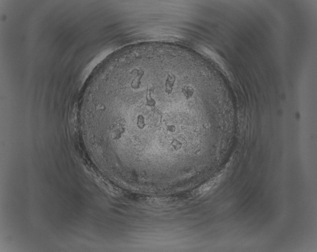 X0000067850875200604271642