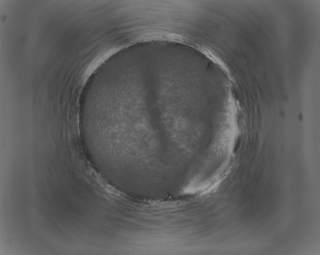 X0000067850877200604271642