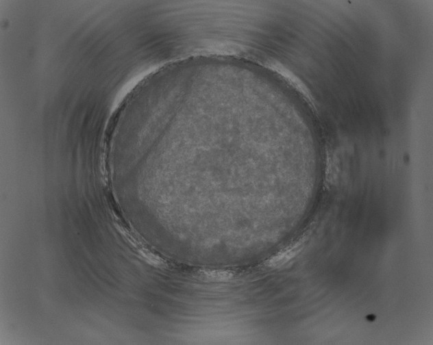 X0000067850878200604271642