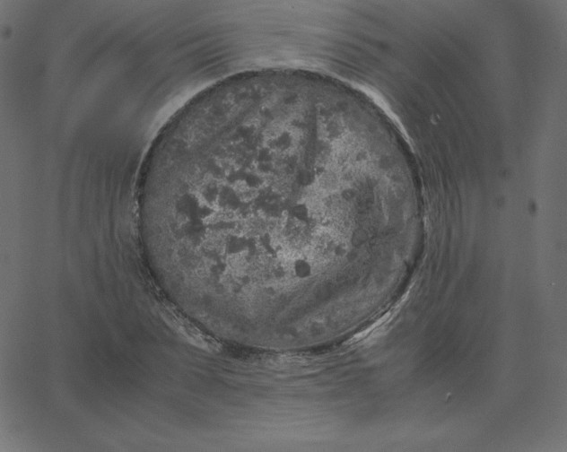 X0000067850879200604271642