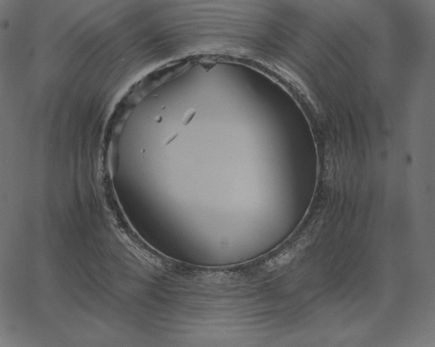 X0000067850880200604271642