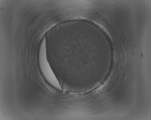 X0000067850881200604271642