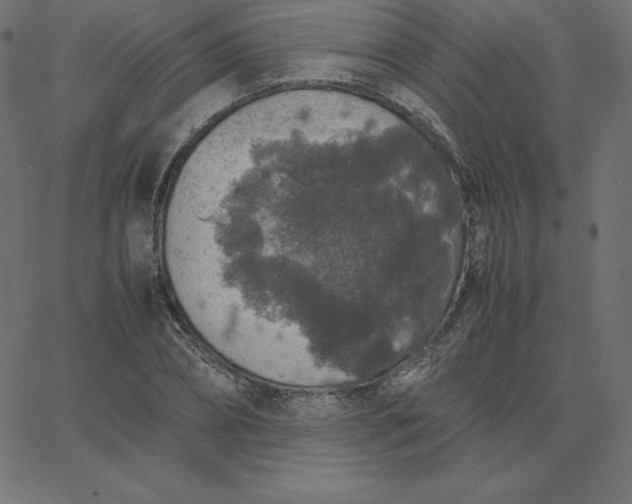 X0000067850882200604271642