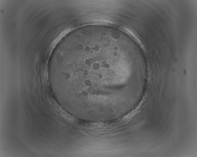 X0000067850883200604271642