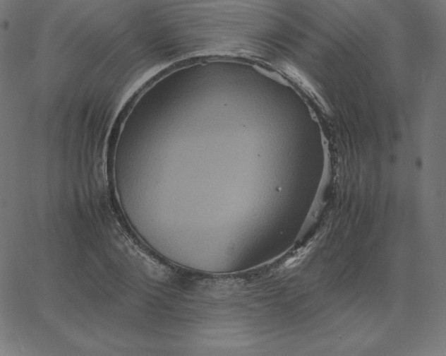 X0000067850884200604271642