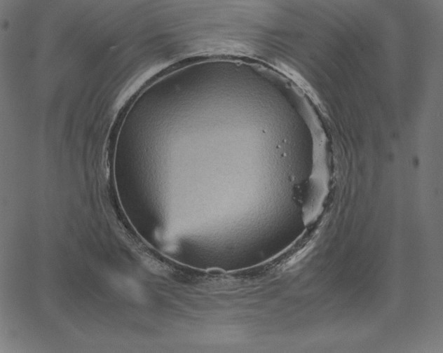 X0000067850885200604271642