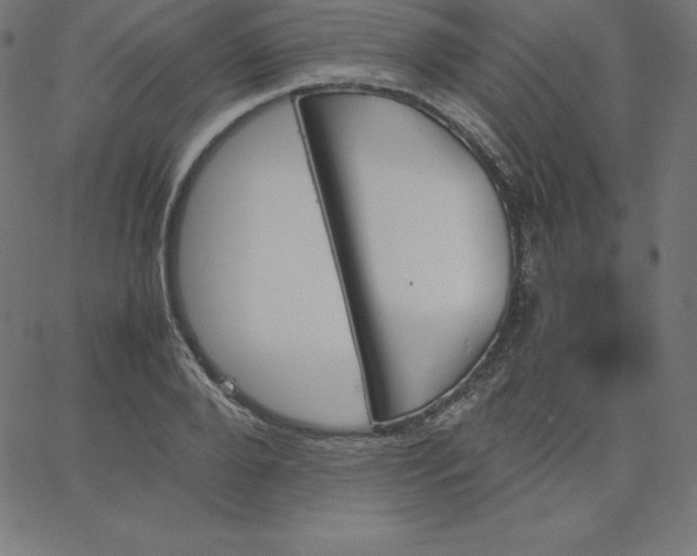 X0000067850888200604271642