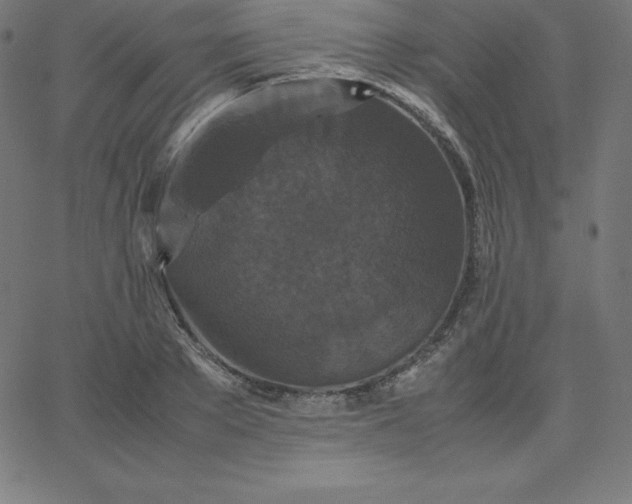 X0000067850889200604271642