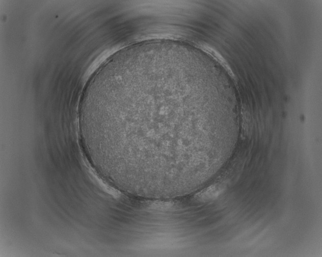 X0000067850890200604271642