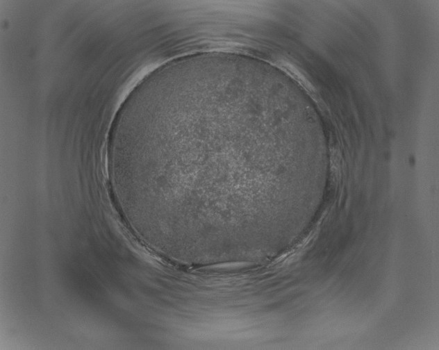 X0000067850891200604271642