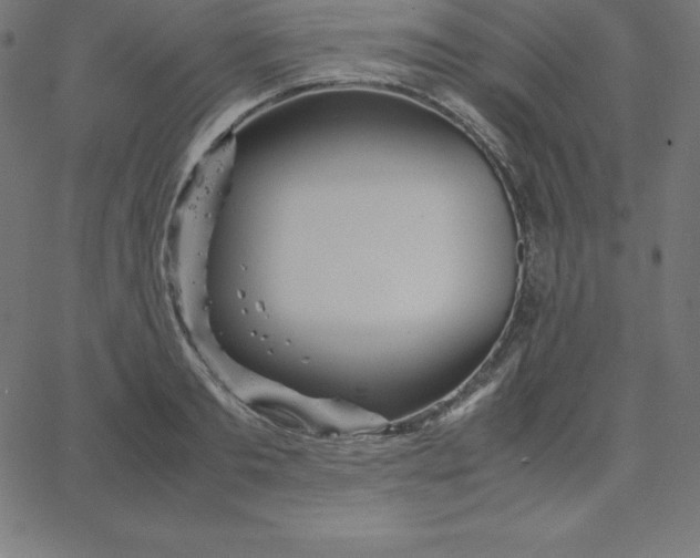 X0000067850893200604271642