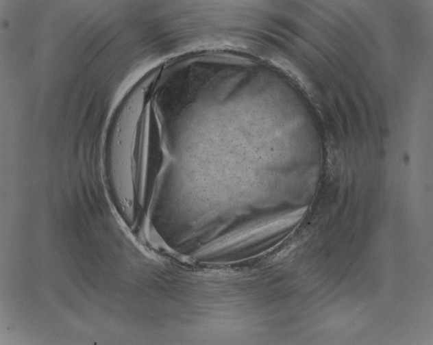 X0000067850894200604271642