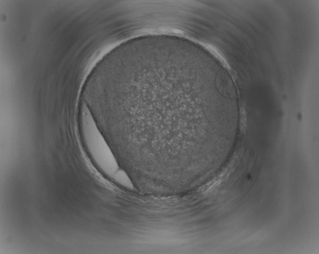 X0000067850895200604271642