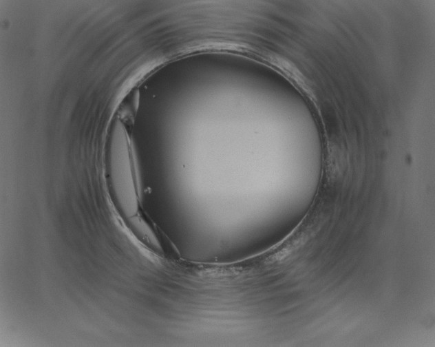 X0000067850898200604271642