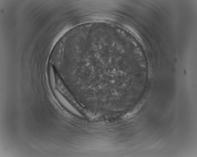 X0000067850899200604271642