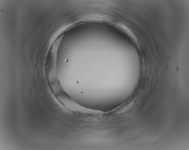 X0000067850901200604271642