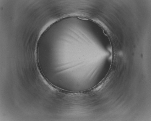 X0000067850902200604271642