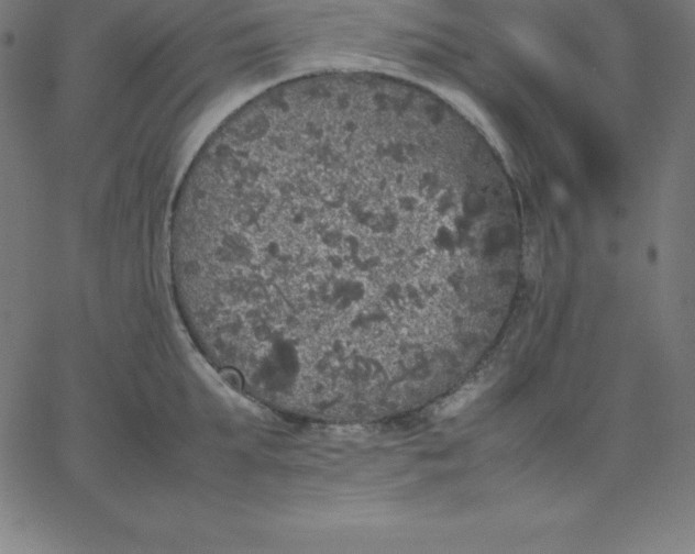 X0000067850903200604271642