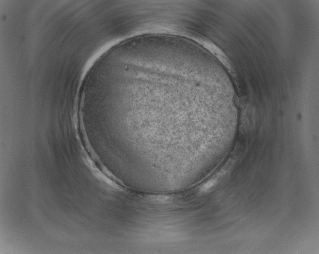 X0000067850904200604271642