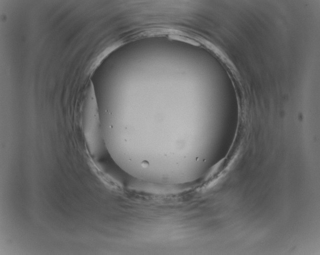 X0000067850905200604271642