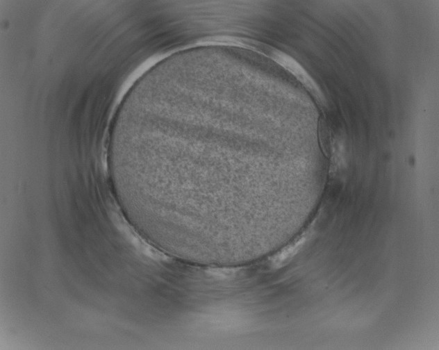 X0000067850908200604271642