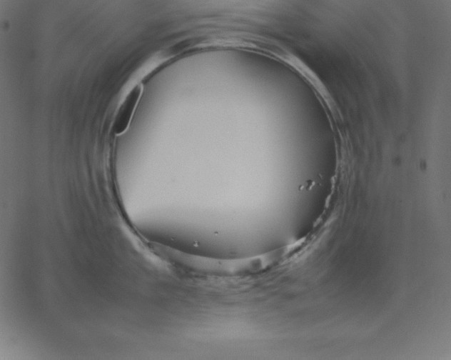 X0000067850909200604271642