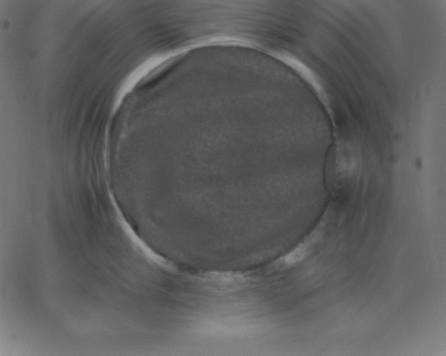 X0000067850910200604271642