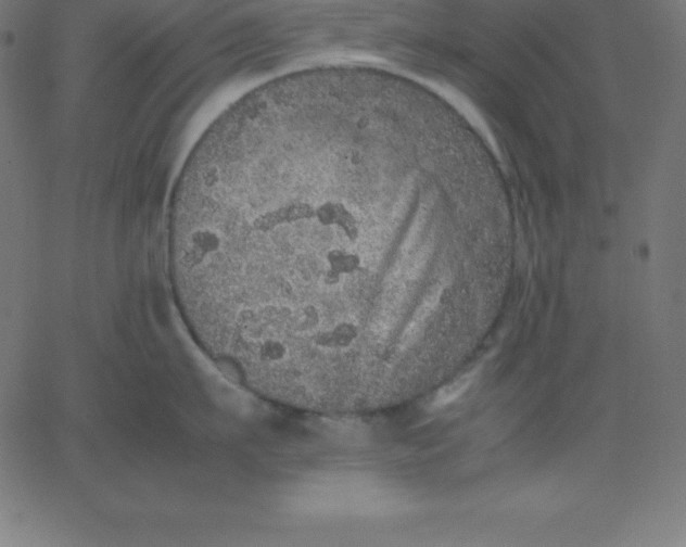 X0000067850911200604271642