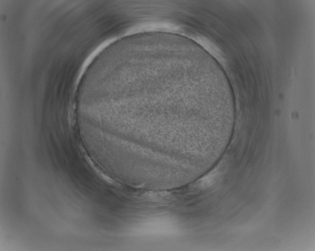 X0000067850912200604271642