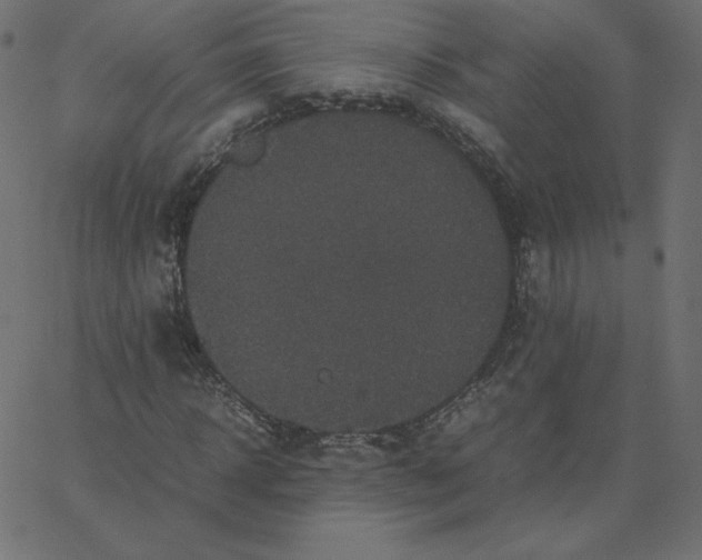 X0000067850918200604271641