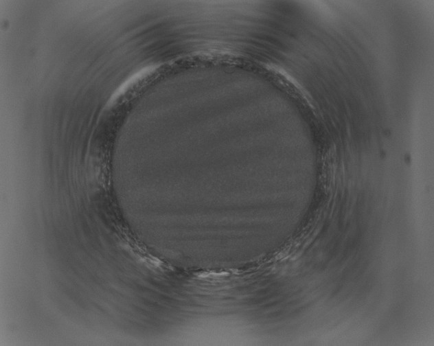 X0000067850919200604271641