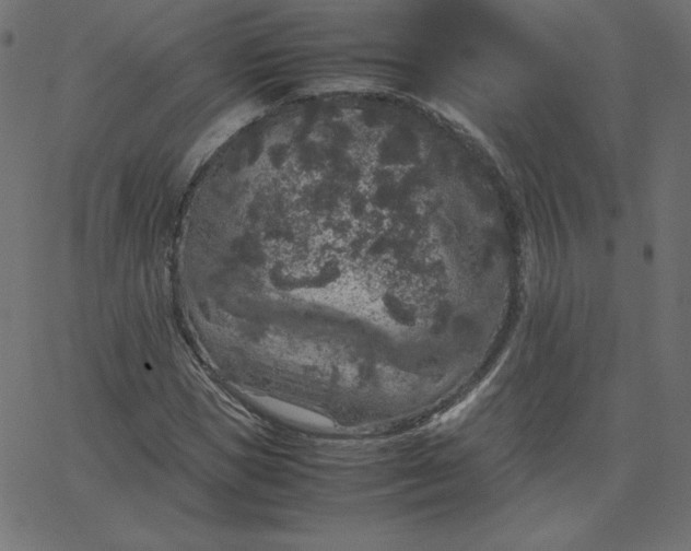 X0000067850921200604271641