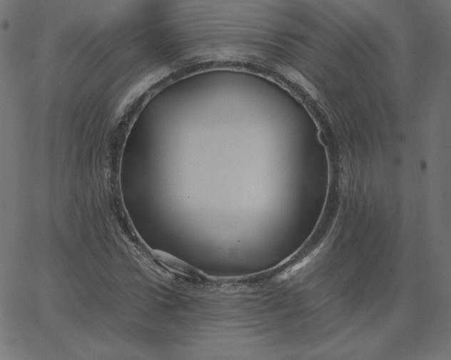 X0000067850922200604271641