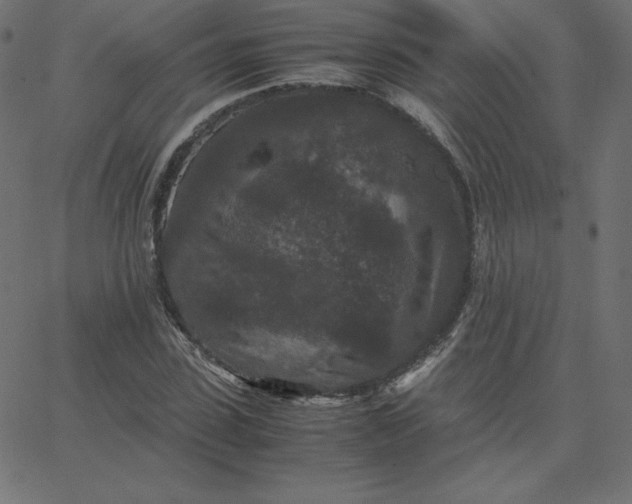 X0000067850923200604271641