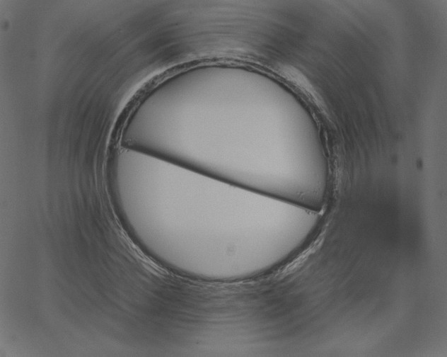 X0000067850924200604271641