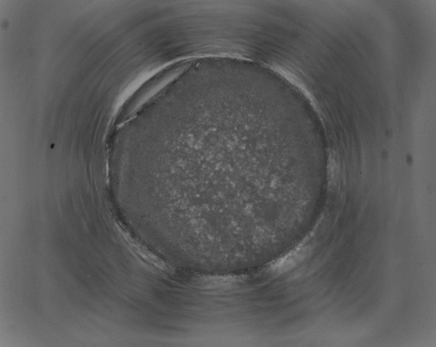 X0000067850925200604271641