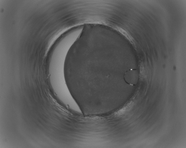 X0000067850926200604271641