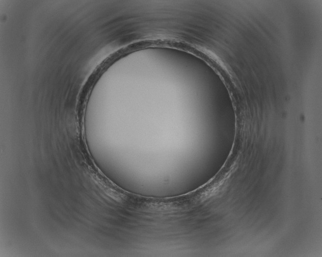 X0000067850927200604271641