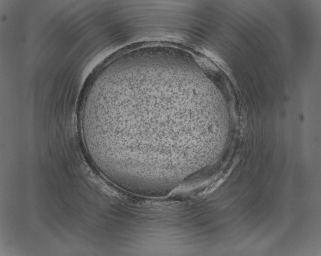 X0000067850928200604271641