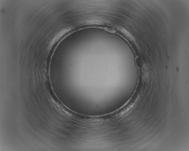 X0000067850930200604271641