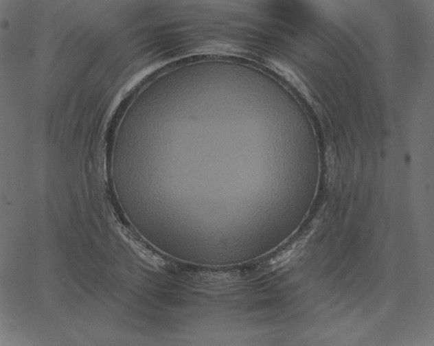 X0000067850931200604271641