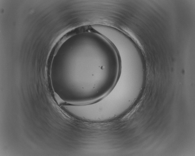 X0000067850932200604271641