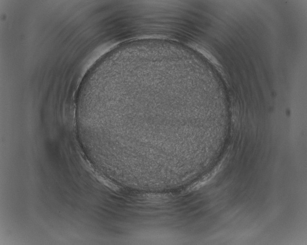 X0000067850933200604271641