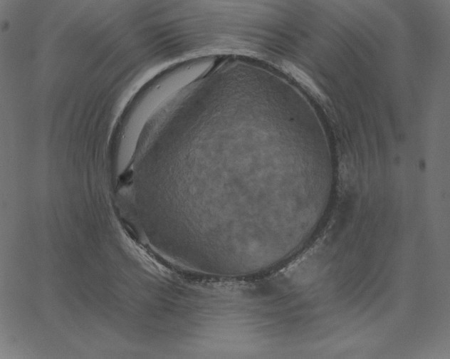 X0000067850934200604271641