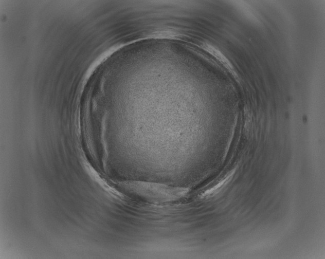 X0000067850939200604271641