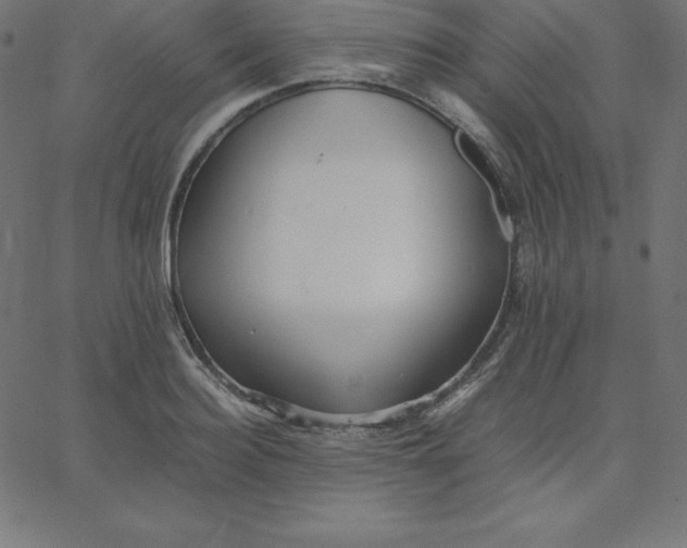 X0000067850940200604271641