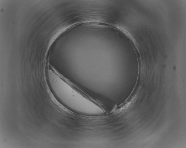 X0000067850941200604271641