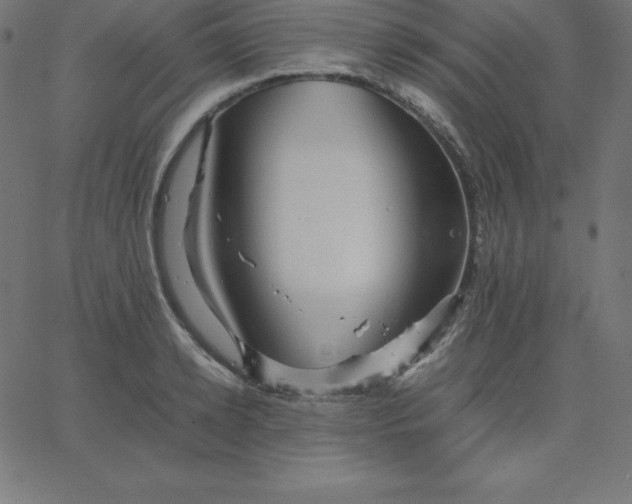 X0000067850942200604271641