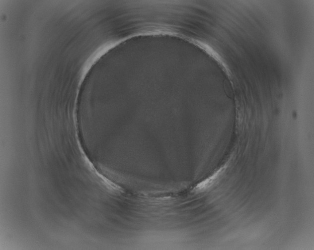 X0000067850943200604271641